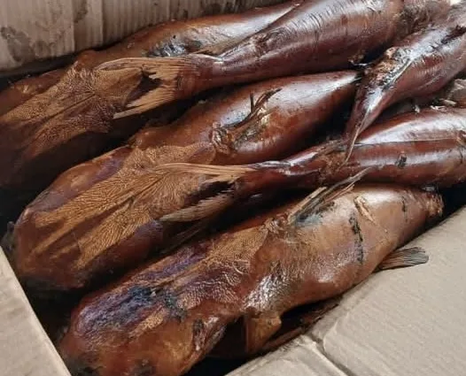 Kong fumé Gambie
