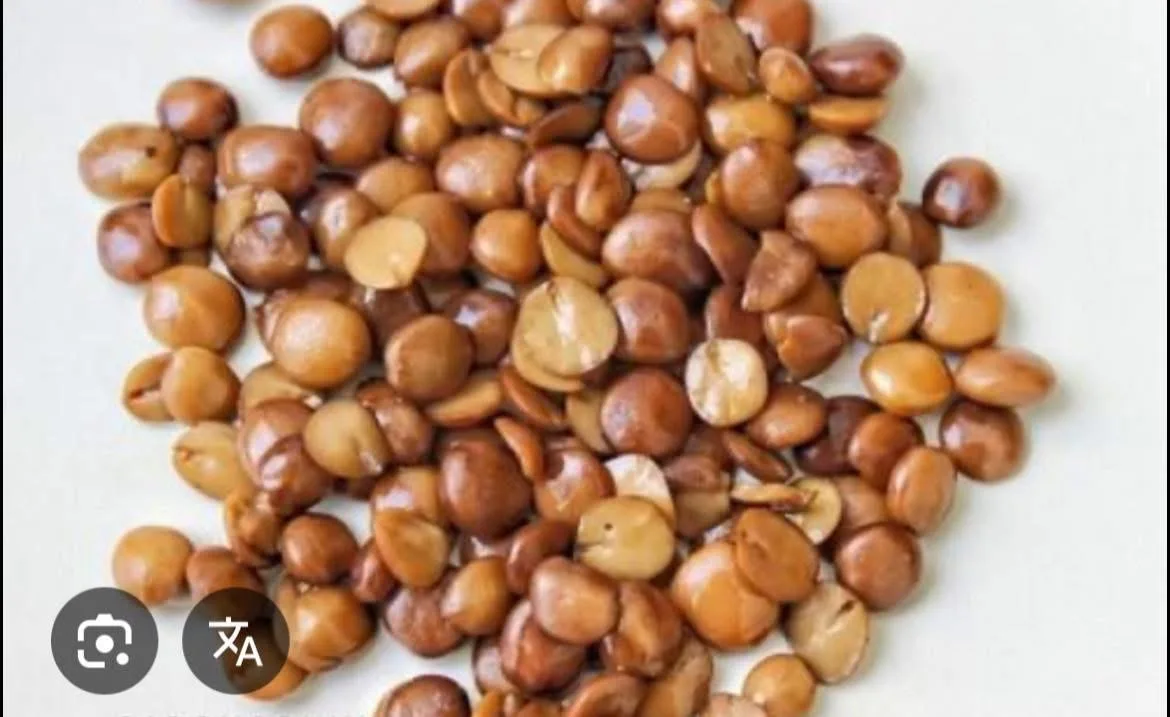 Nététou (soumbala)