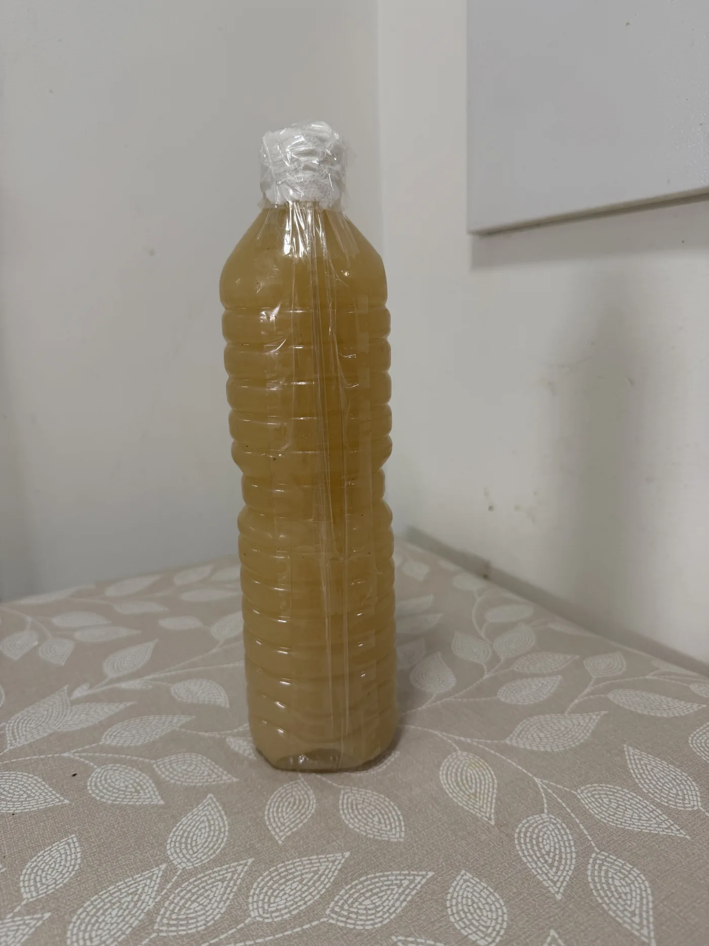 Citron presser (ndokhou limon